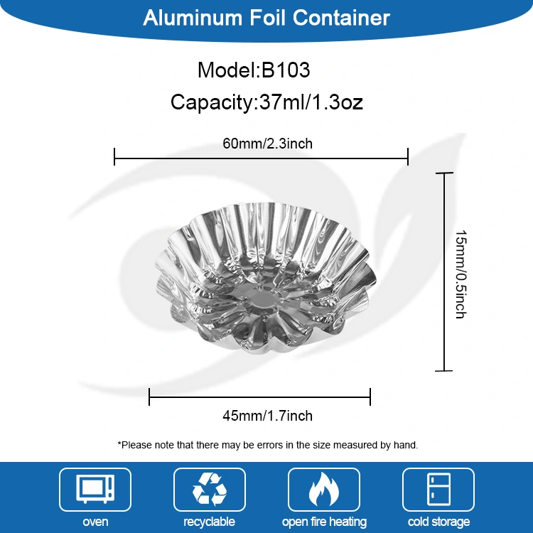ບັນຈຸຕູ້ຄອນເທນລີດອາທິດອາລູມິນຽມເງິນ